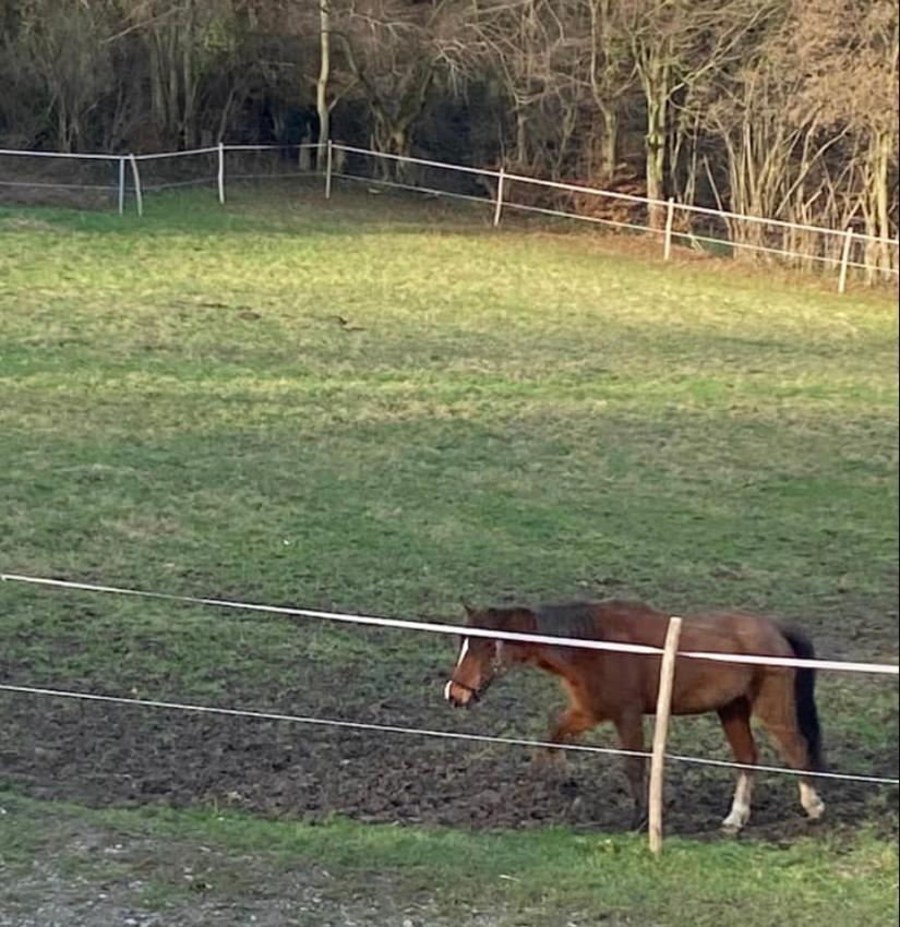 Le Ranch Des Aguesses Villa Andenne Kültér fotó