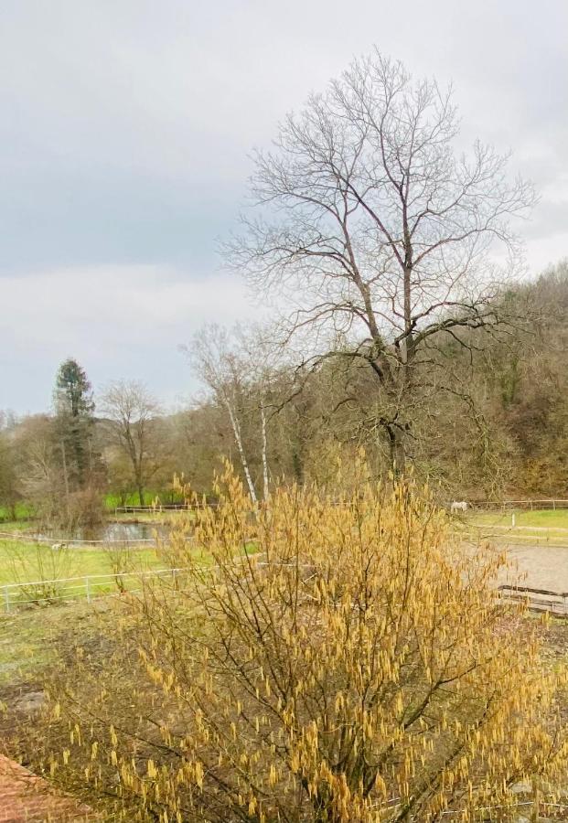Le Ranch Des Aguesses Villa Andenne Kültér fotó